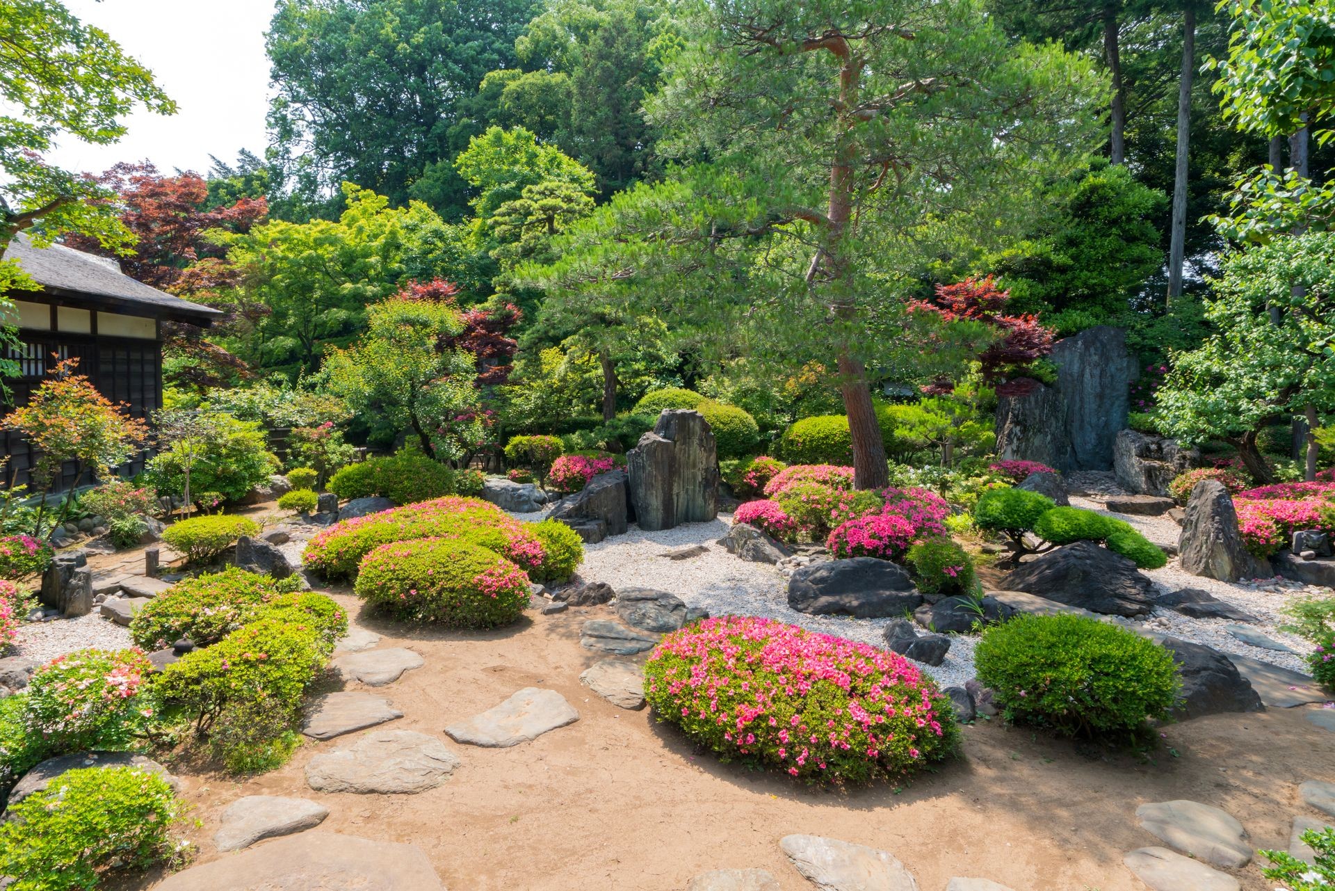 landscape of Beautiful garden with colorful flowers on hill.