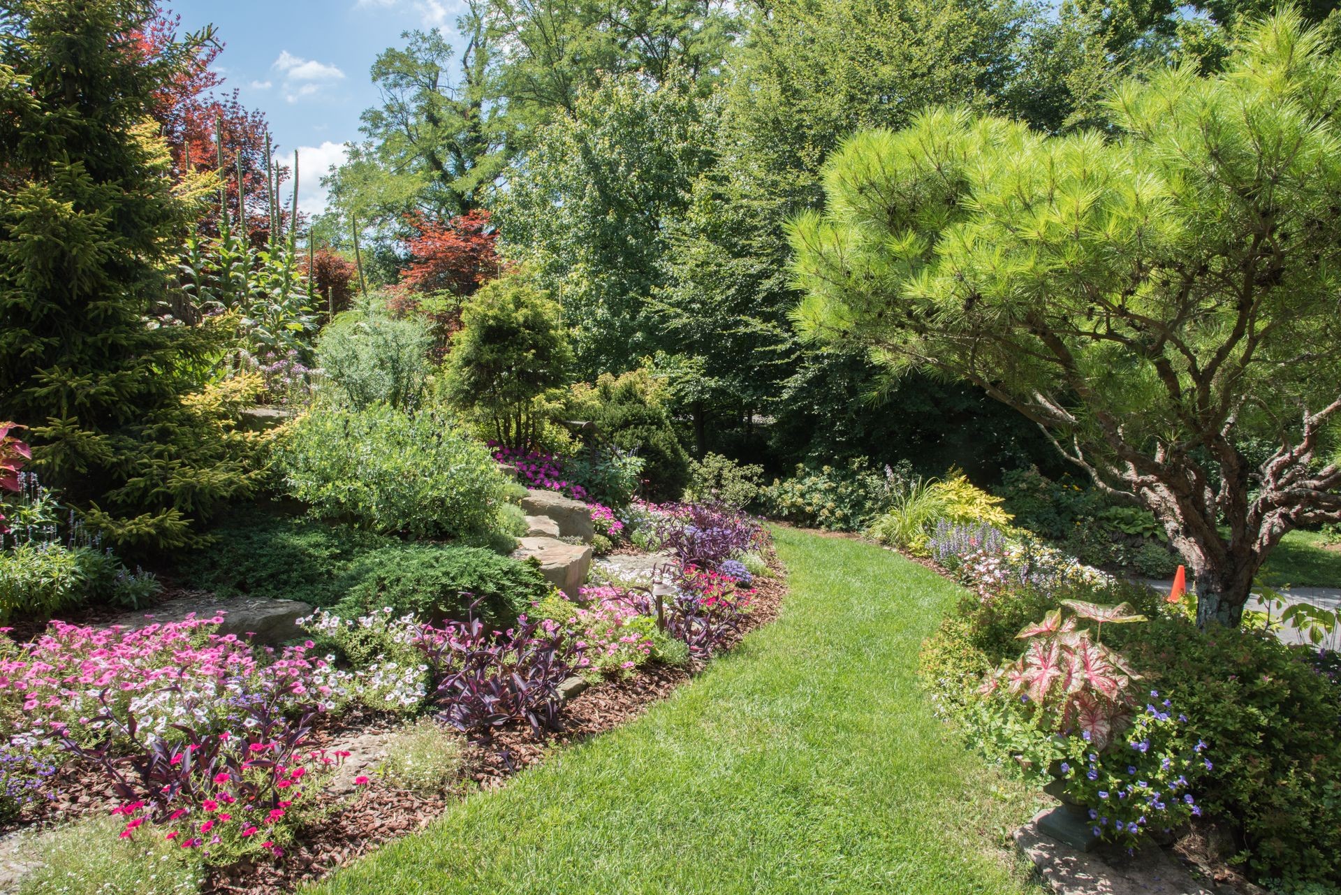 Grassy path through vibrant garden flowerbeds with trees under a blue sky on a sunny day